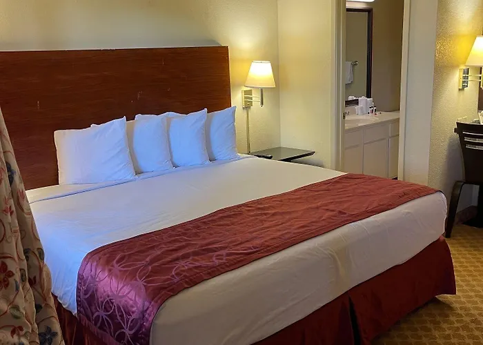 6 Tempe, Az Elliot Road Hotel